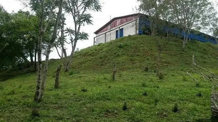 Chácara 25.000m² De Particular, em Itaiacoca Ponta Grossa, tratar Direto C/ Proprietário