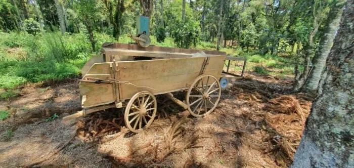 Carroça Quatro Rodas Antiga para Uso ou Decoração
