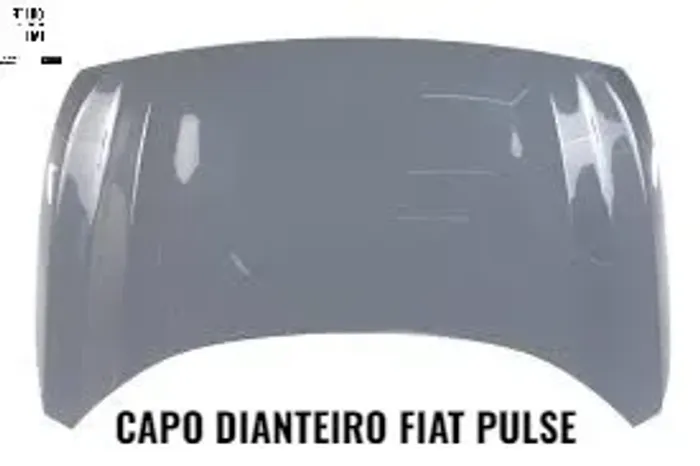 Capo fiat Pulse semi novo Original