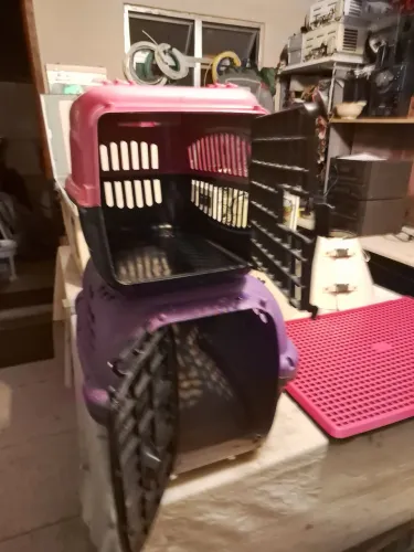 Casinha de transporte pet
