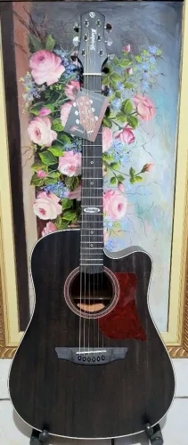 Violão Strinberg SD200C 