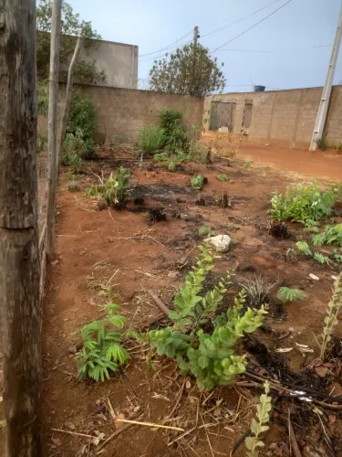 Vendo lote na 26 de setembro rua 04