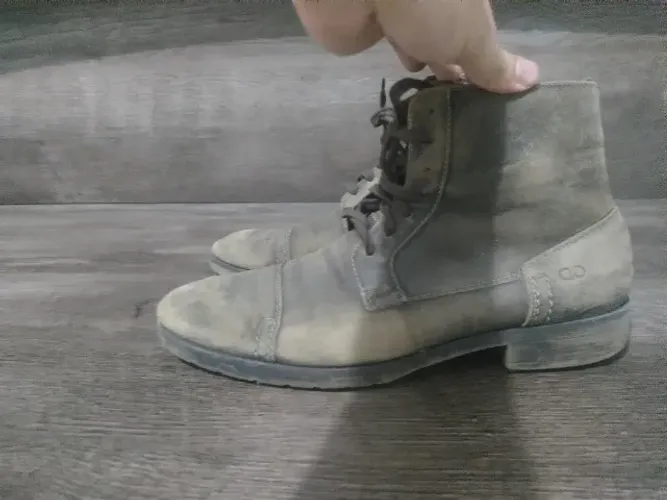 Bota Democrata 
