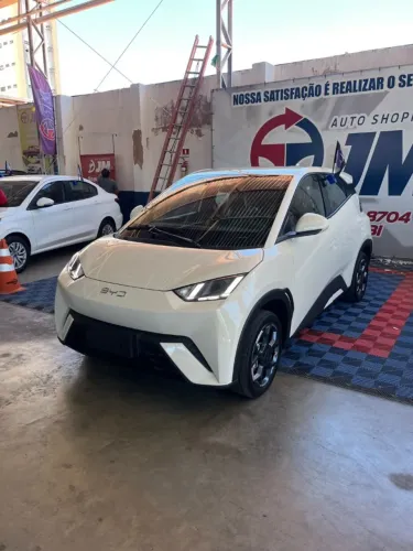 BYD Dolphin Mini GL 2027