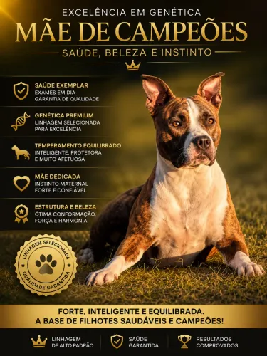 ? Excelente genética, filhotes fortes, saudáveis e muito bem desenvolvidos!
