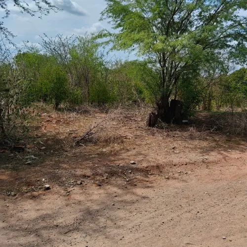 terreno localização sítio Varjota Iguatu ce