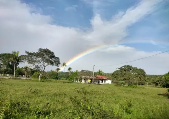 granja com 3.8 hectares com uma excelente estrutura perfeita em são Gonçalo do Amarante t