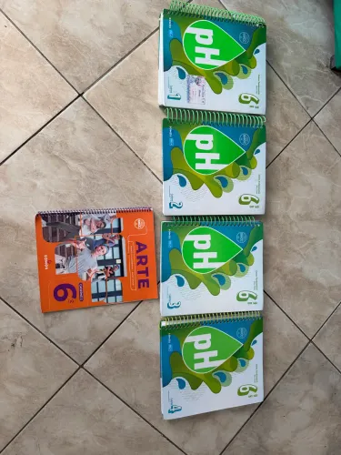 Livro Sistema Ph 6 ano 