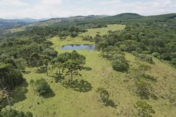 Fazenda/Sítio/Chácara para venda com 710000 metros quadrados em Zona Rural - Urupema - SC