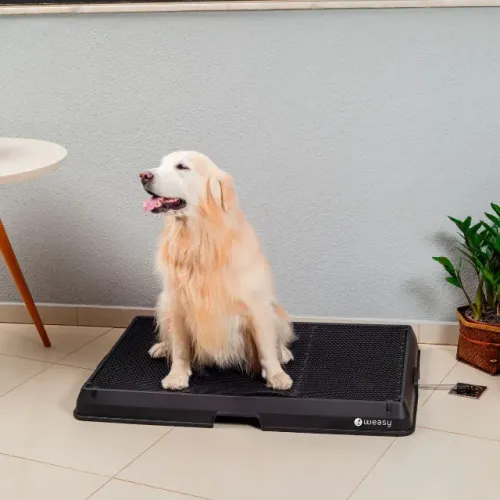 VENDO Sanitário Pet Weasy Grande - Preto | Estado de Novo! ?