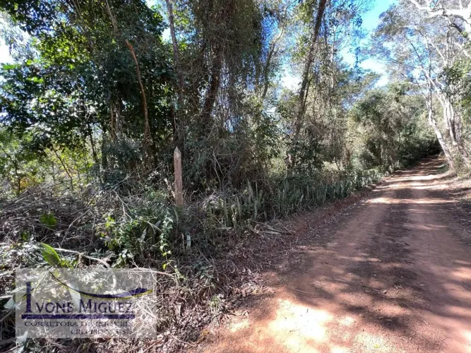 Terreno em Palmares - Paty do Alferes, RJ