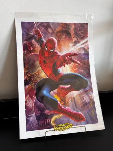 Poster Arte Spider Man Homem Aranha Autografado