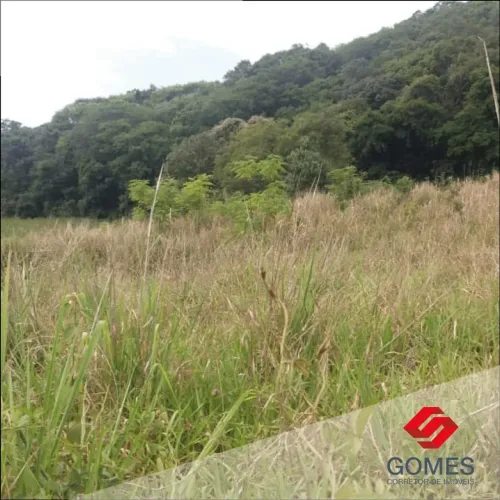 Sítio à venda com 3 alqueires - 72.600 m² - nascente e córrego - sem benfeitoria - Guarave