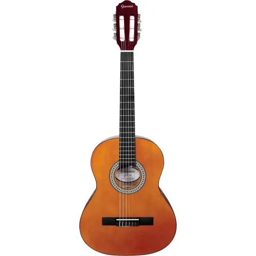 Violão Giannini semi novo