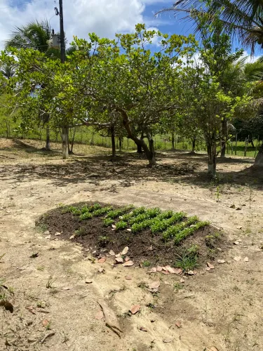 Propriedade Rural