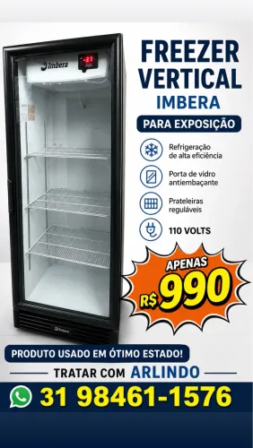 Freezer vertical