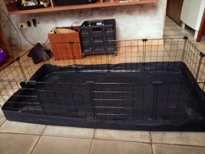 Cercado Gaiola Porquinho Índia Mini Coelho 60x120 Com Tapete Cor Preto