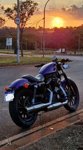 Harley-Davidson Iron 883N
