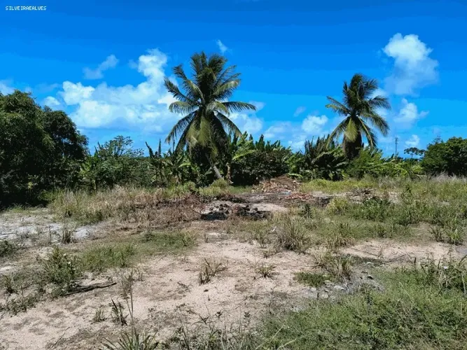 Terreno para Venda em Camaçari, Itacimirim