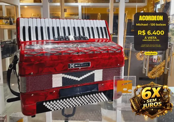 Acordeon 120 baixos Michael ACM1207N