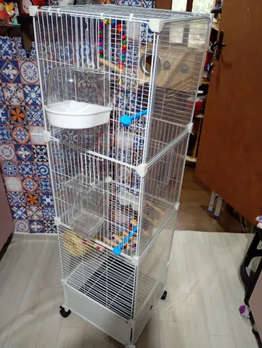 Gaiola