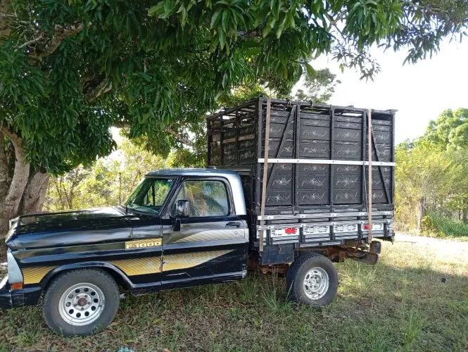 Ford F-1000 S. S. Diesel / S.s. Diesel Turbo 1985