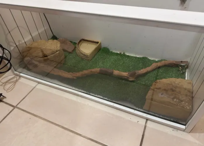 Terrario