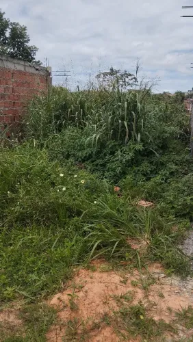 Roçagem, jardinagem
