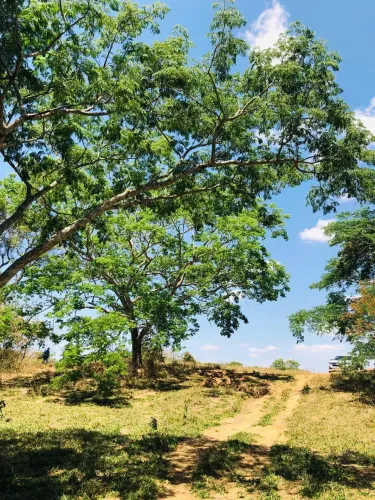 Lote/Terreno para venda com 20 mil metros quadrados em Centro - Cordisburgo - MG