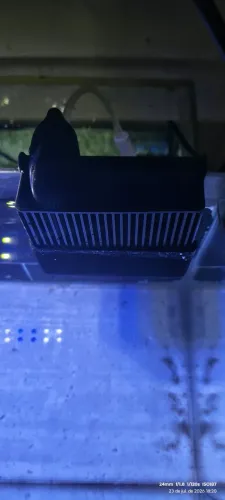 Overflow Box 1000lh