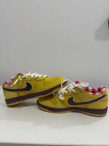Dunk Yellow lobster 