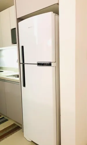 Geladeira Brastemp 375 litros