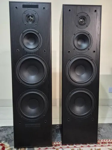 Torre acústica Audiofile modelo 830LR