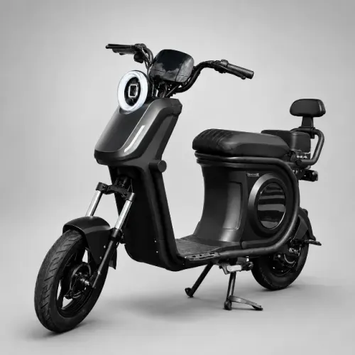 Moto Elétrica Panda Q1 1000w 60v 21ah Bateria Removível