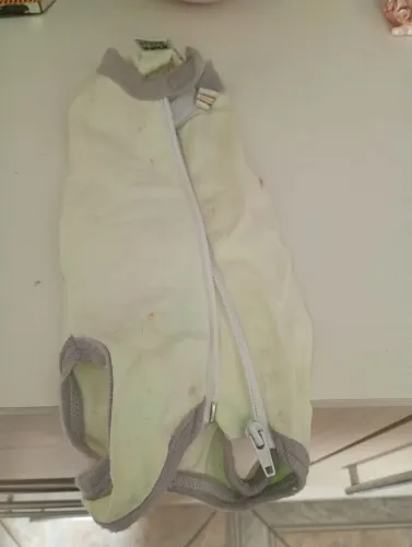 Roupa pós cirúrgica de gato