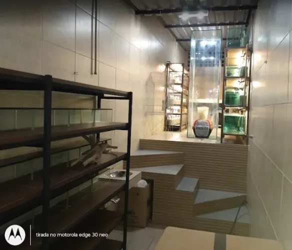 Estrutura Completa para Loja de Aquarismo e Pet Shop - Aquários, Estantes e Equipamentos