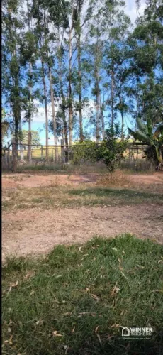 Fazenda com 2 dormitórios à venda, m² por R$ 450.000.000,00 - Zona Rural - Caiapônia/GO