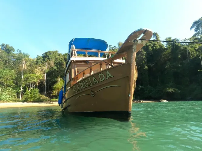Barco tipo traineira