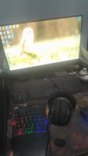 Monitor gamer