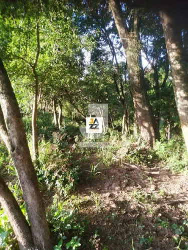 Sítio à venda com 22.424 m² em Manduca Coelho