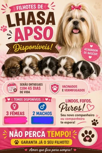 LHASA APSO