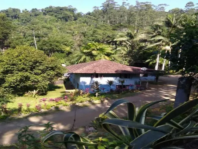 Sítio RODEIO - SC