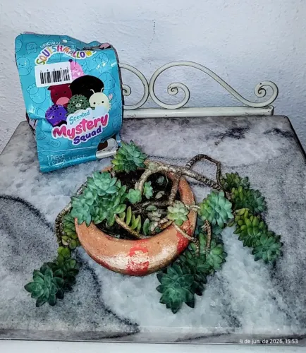 É uma recomendação aguenta no vaso de cerâmica pendente 