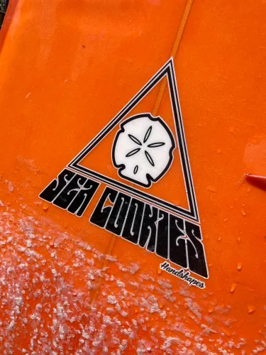 Prancha Surf Fish 5?9?