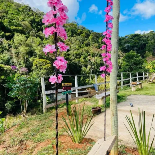 OPORTUNIDADE TERRENO com CASA + MÓVEIS INCLUSOS, Domingos Martins