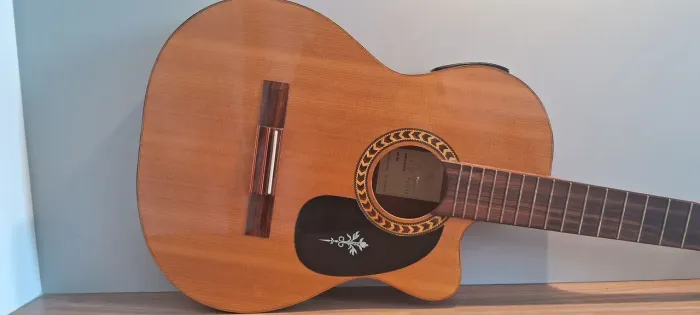 Violão eletroacústico Di Giorgio (Raridade)