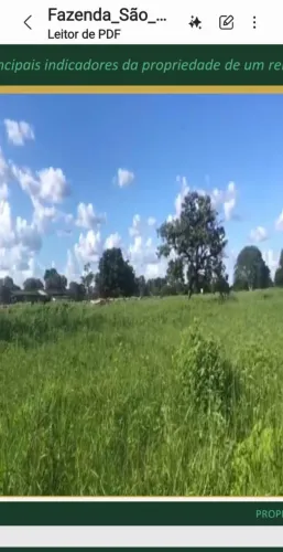 Área para Gado Noroeste de Minas.