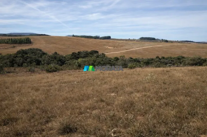 FAZENDA À VENDA - 98 HECTARES - CARRANCAS (MG)