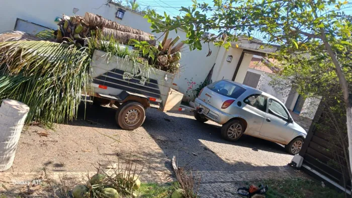 Podar de árvores e limpeza em geral Palmas é região
