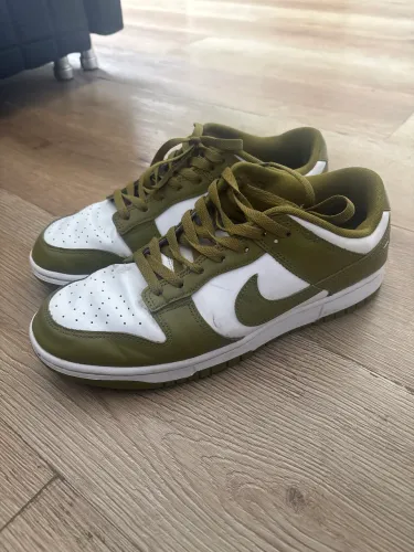Nike Dunk 43